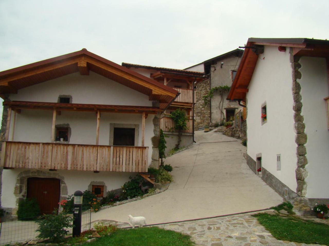 Apartmaji Nena Rocinj